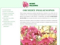 Détails :  Méthode d'arrosage de l'orchidée phalaenopsis 